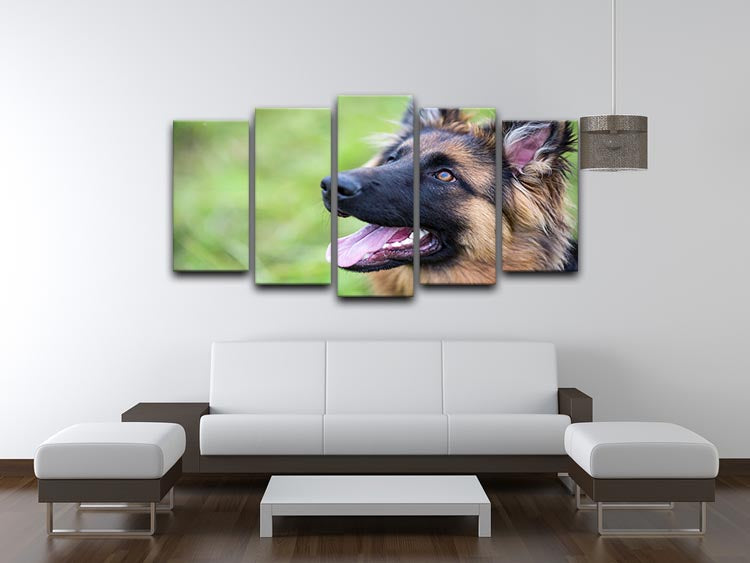 Young dog german shepherd on the grass in the park 5 Split Panel Canvas - Canvas Art Rocks - 3