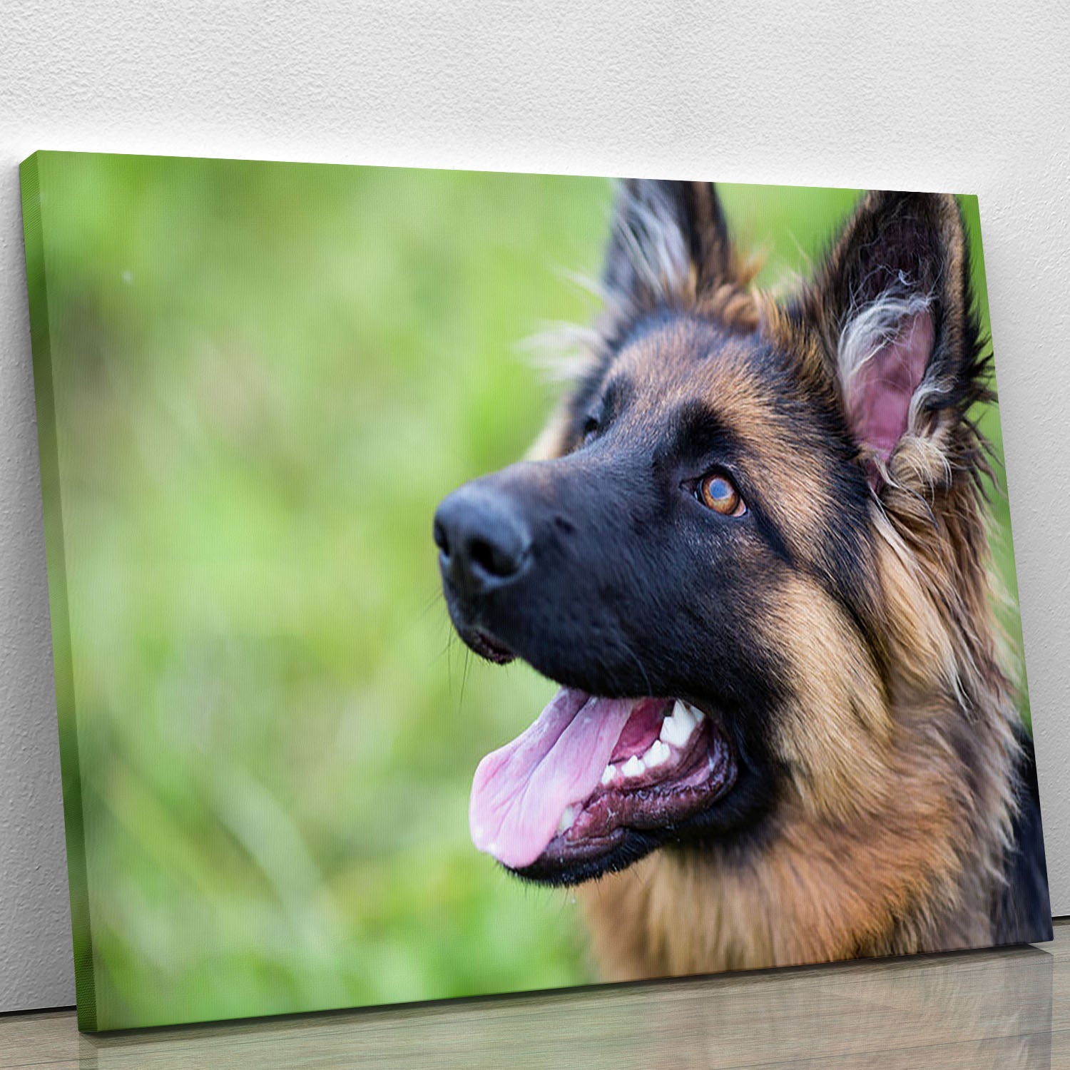 Young dog german shepherd on the grass in the park Canvas Print or Poster - Canvas Art Rocks - 1