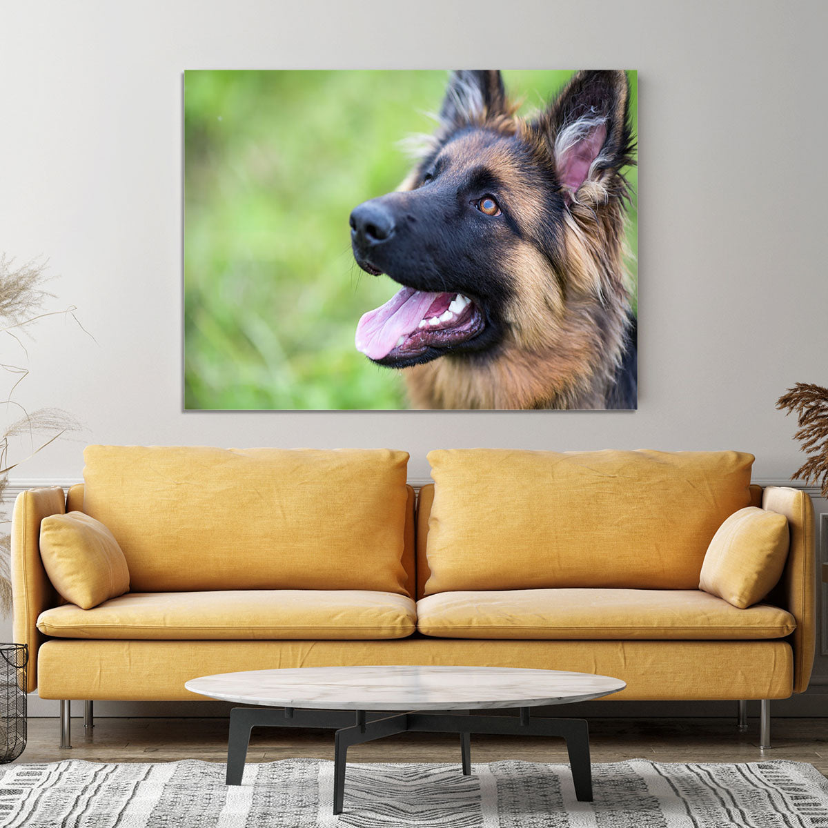 Young dog german shepherd on the grass in the park Canvas Print or Poster - Canvas Art Rocks - 4
