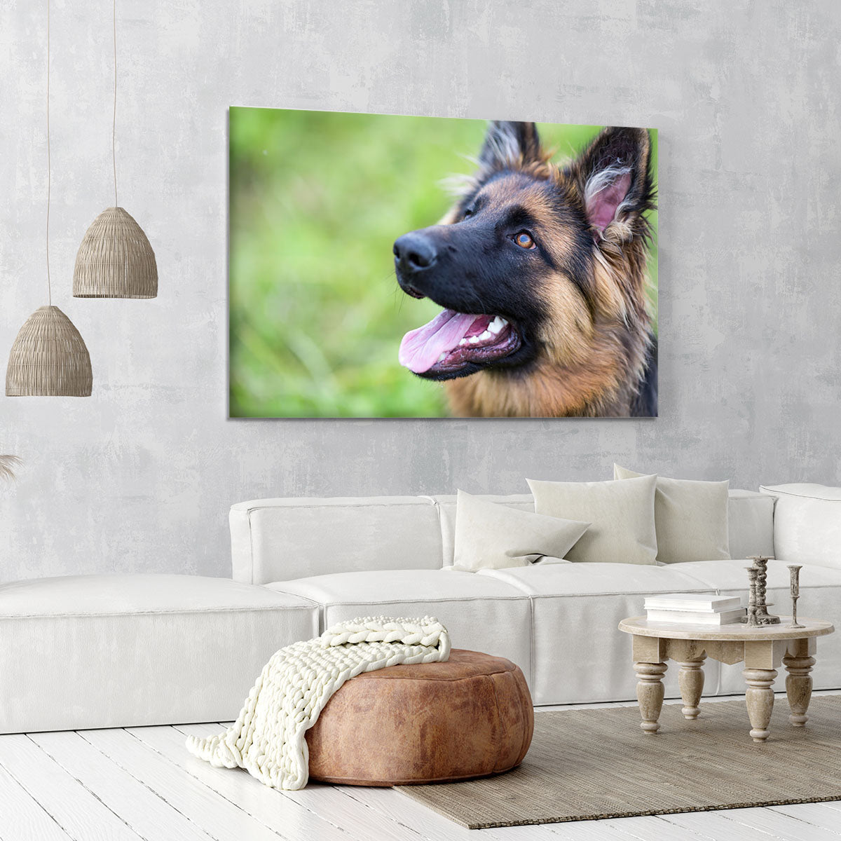 Young dog german shepherd on the grass in the park Canvas Print or Poster - Canvas Art Rocks - 6