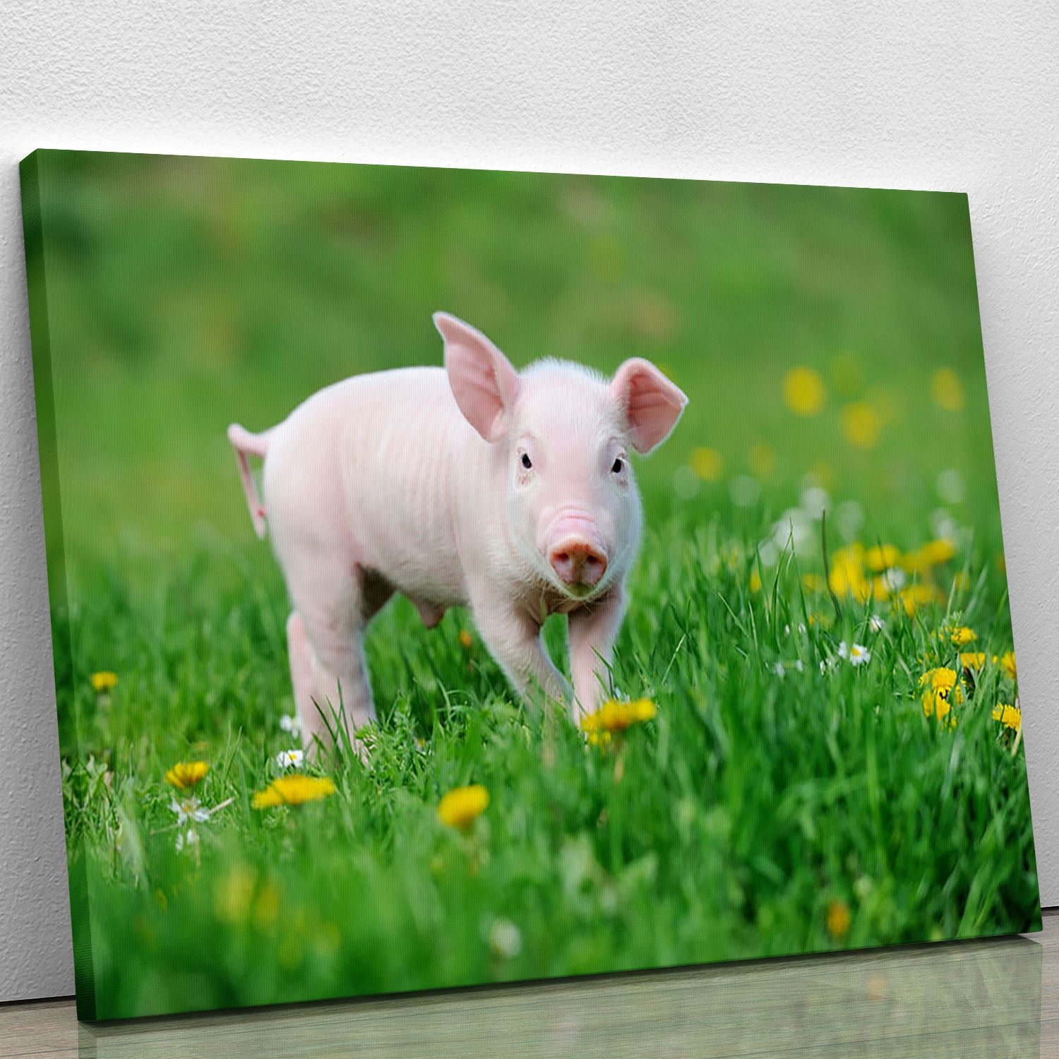 Young funny pig Canvas Print or Poster - Canvas Art Rocks - 1