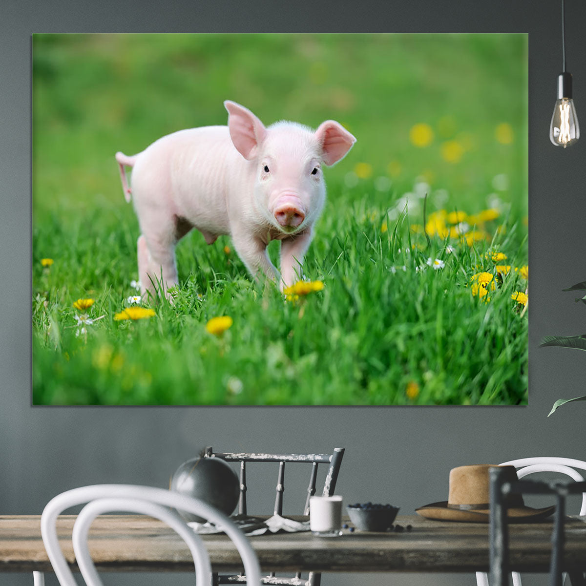 Young funny pig Canvas Print or Poster - Canvas Art Rocks - 3
