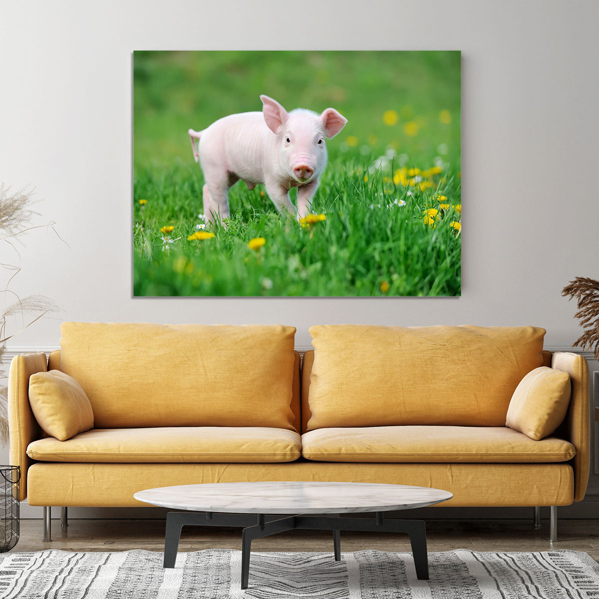 Young funny pig Canvas Print or Poster - Canvas Art Rocks - 4