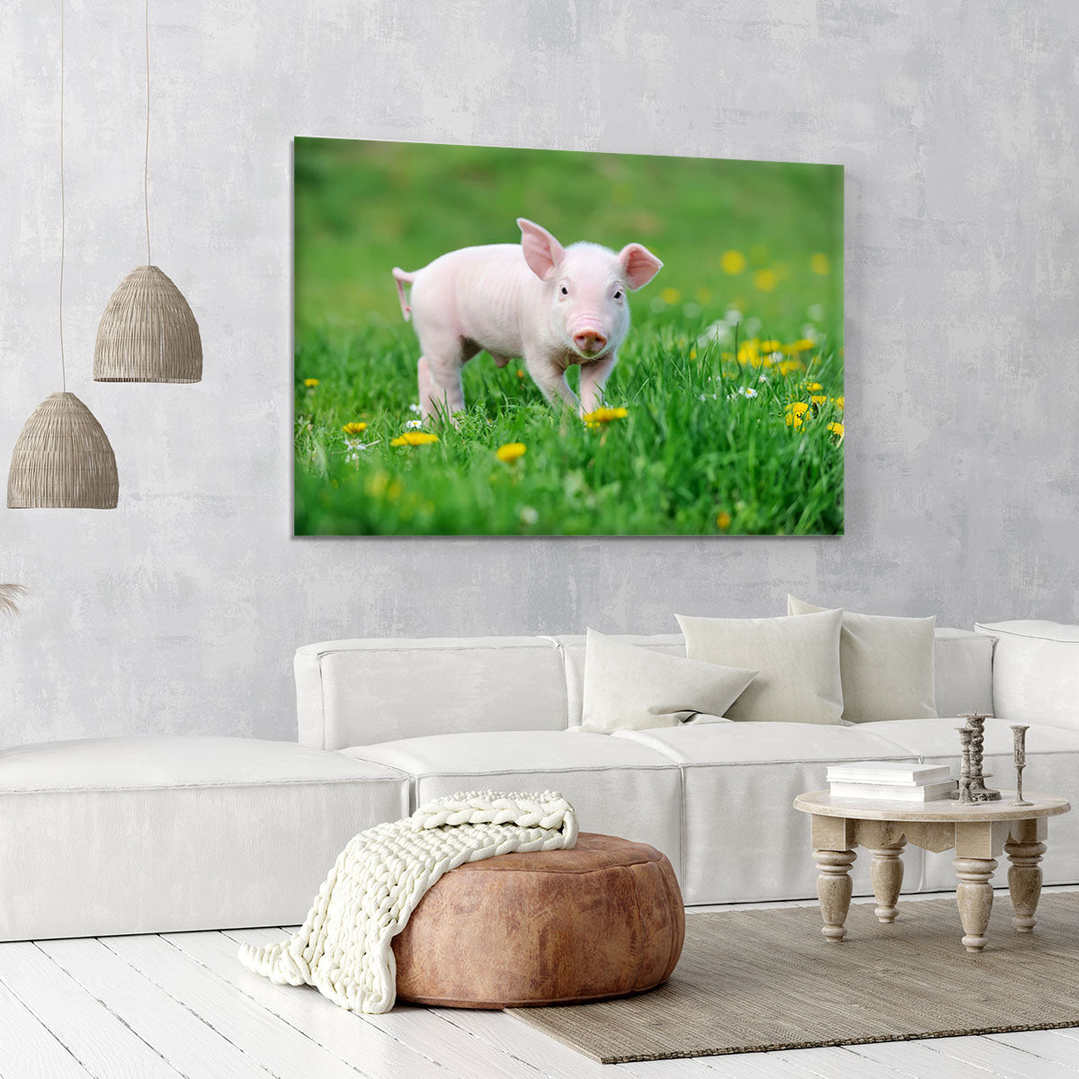 Young funny pig Canvas Print or Poster - Canvas Art Rocks - 6