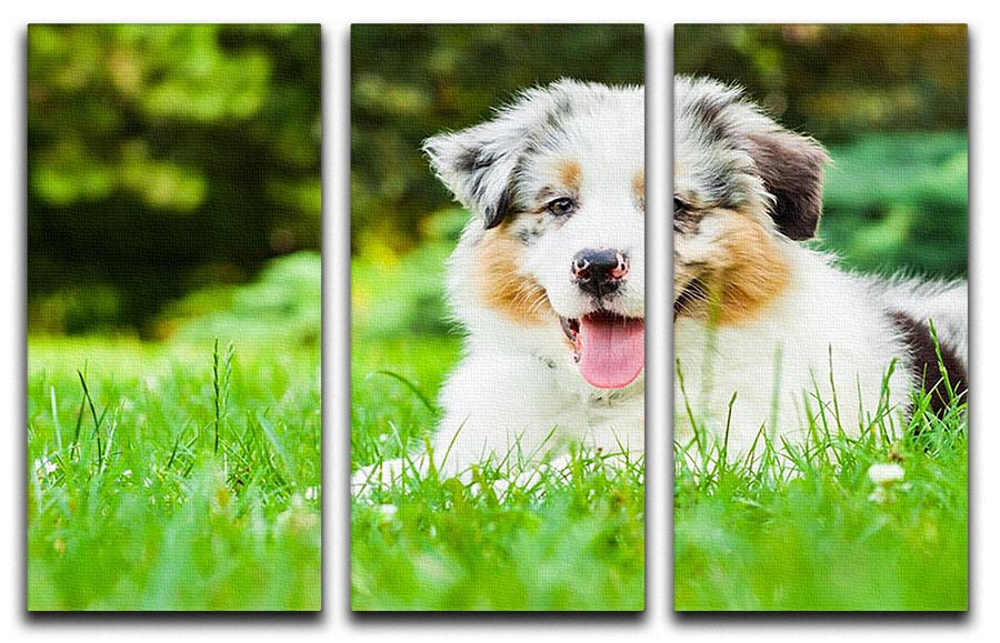 Young puppy lying on fresh green grass in public park 3 Split Panel Canvas Print - Canvas Art Rocks - 1
