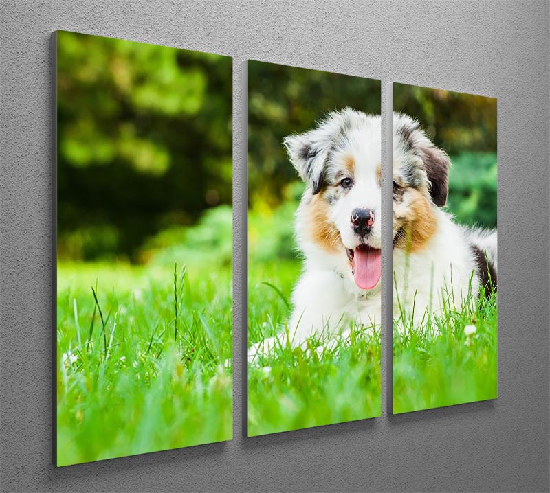 Young puppy lying on fresh green grass in public park 3 Split Panel Canvas Print - Canvas Art Rocks - 2