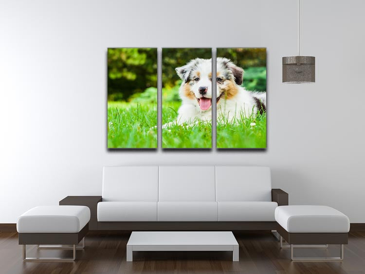 Young puppy lying on fresh green grass in public park 3 Split Panel Canvas Print - Canvas Art Rocks - 3