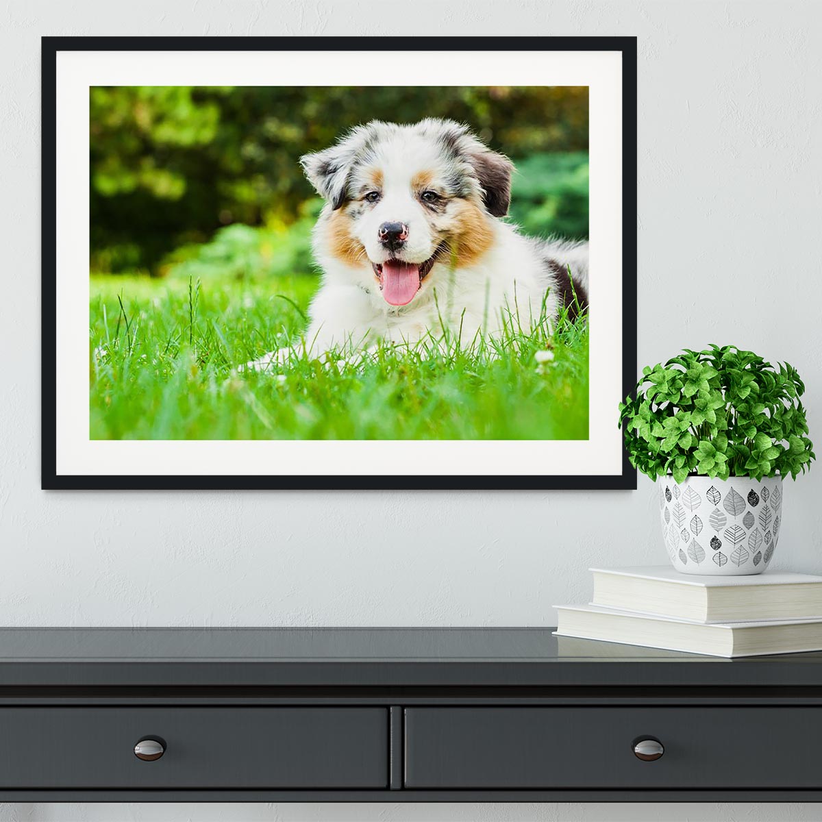 Young puppy lying on fresh green grass in public park Framed Print - Canvas Art Rocks - 1