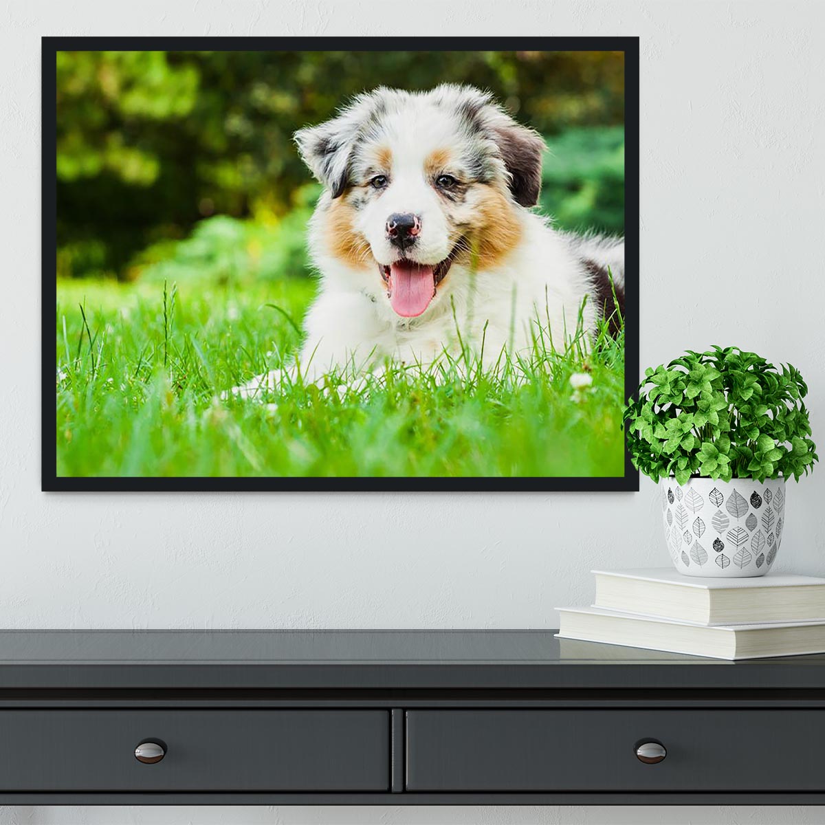 Young puppy lying on fresh green grass in public park Framed Print - Canvas Art Rocks - 2
