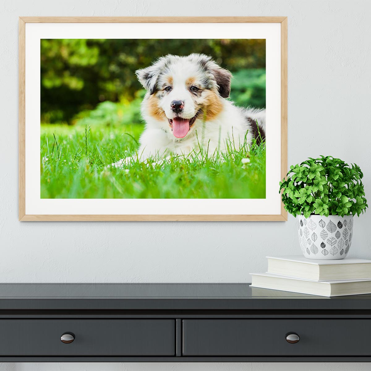 Young puppy lying on fresh green grass in public park Framed Print - Canvas Art Rocks - 3