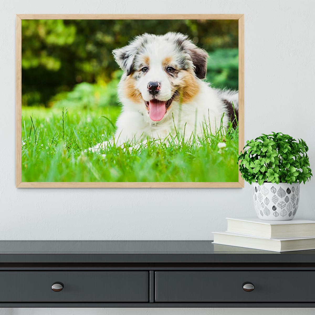 Young puppy lying on fresh green grass in public park Framed Print - Canvas Art Rocks - 4