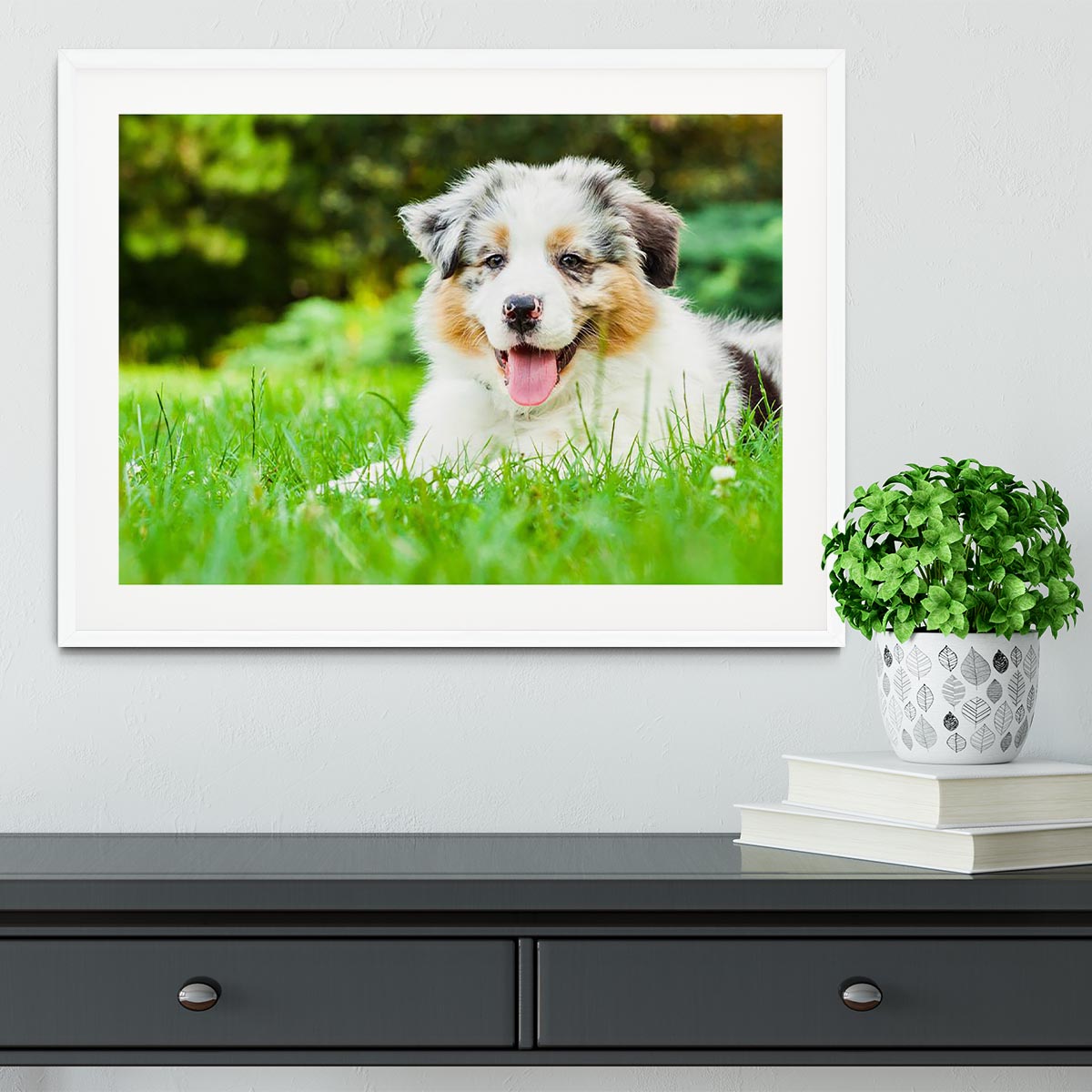 Young puppy lying on fresh green grass in public park Framed Print - Canvas Art Rocks - 5
