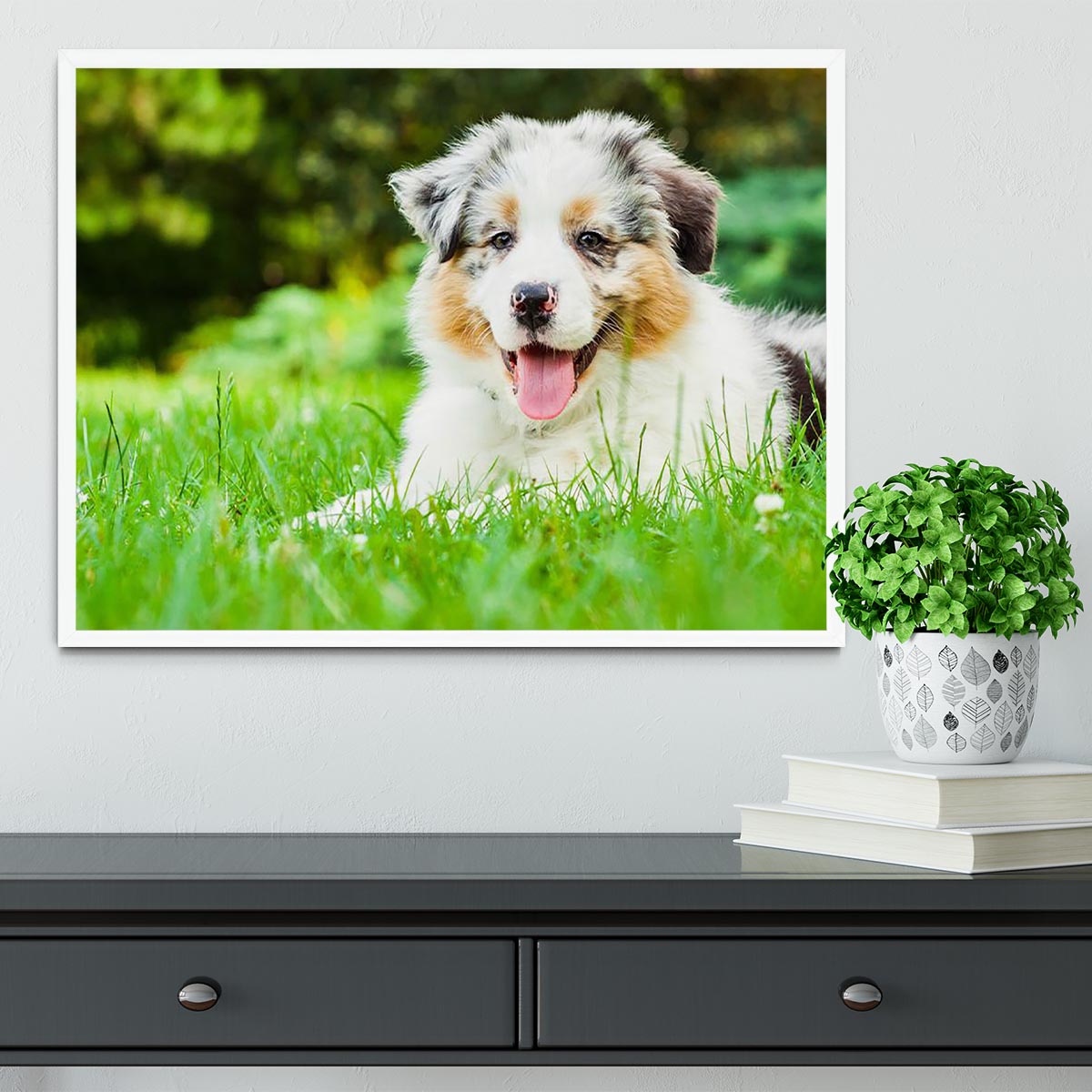 Young puppy lying on fresh green grass in public park Framed Print - Canvas Art Rocks -6
