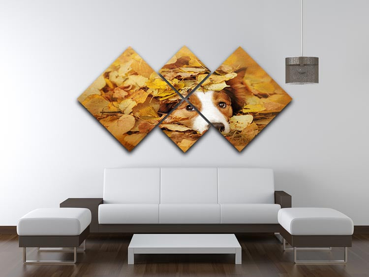 Young red border collie dog playing with leaves 4 Square Multi Panel Canvas - Canvas Art Rocks - 3