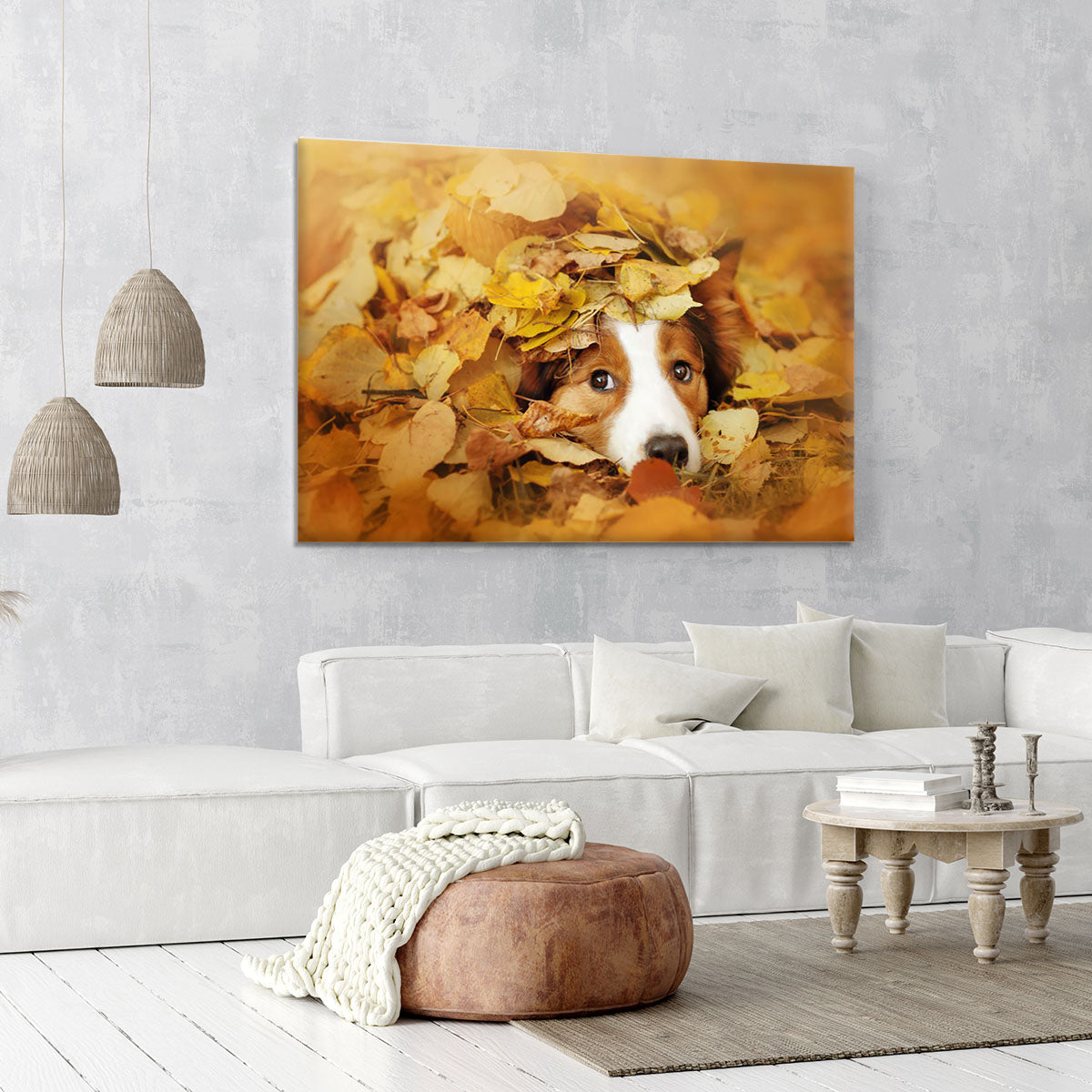 Young red border collie dog playing with leaves Canvas Print or Poster - Canvas Art Rocks - 6