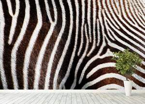 Zebra Fur Wall Mural Wallpaper - Canvas Art Rocks - 4