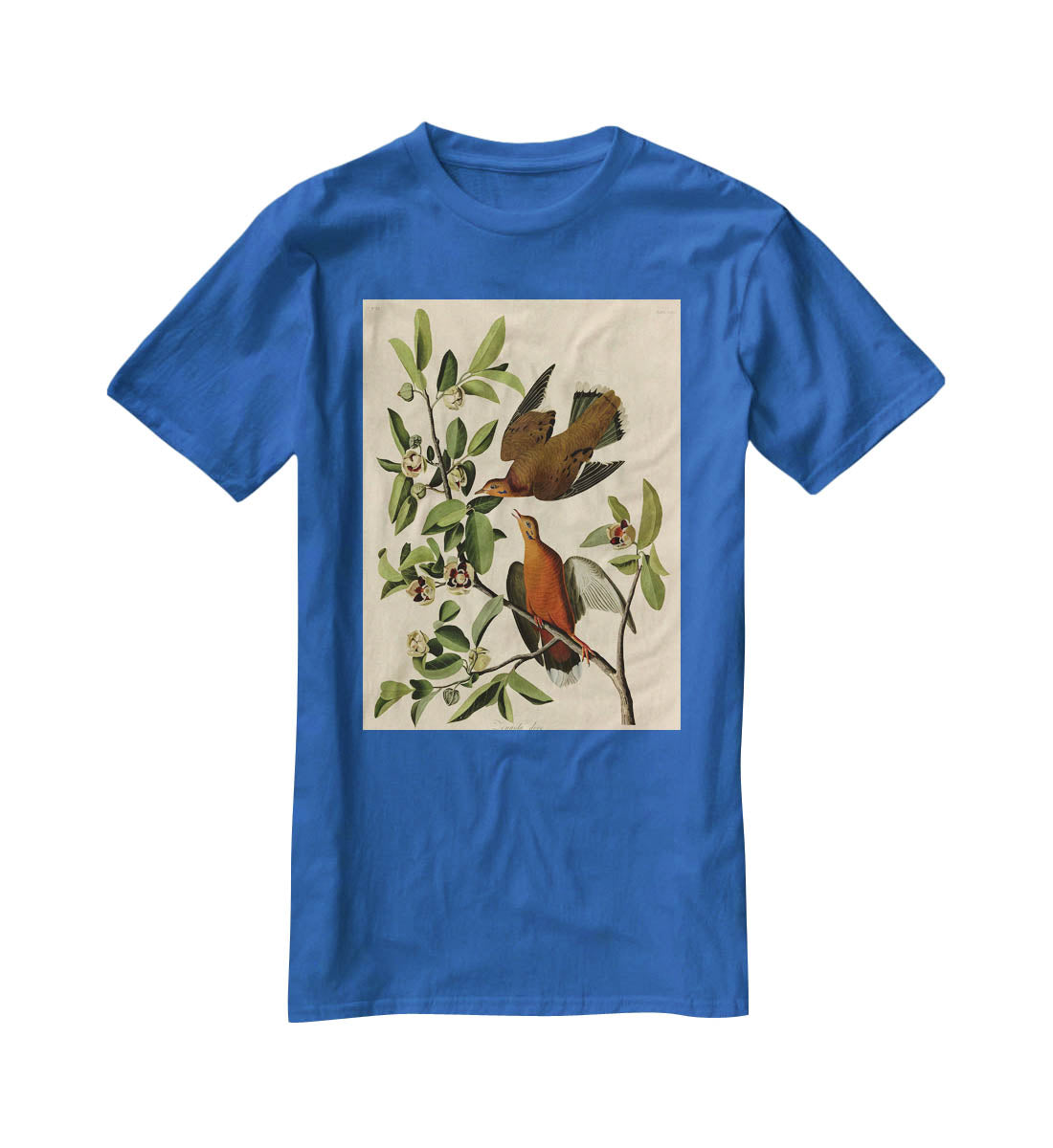 Zenaida Doves by Audubon T-Shirt - Canvas Art Rocks - 2