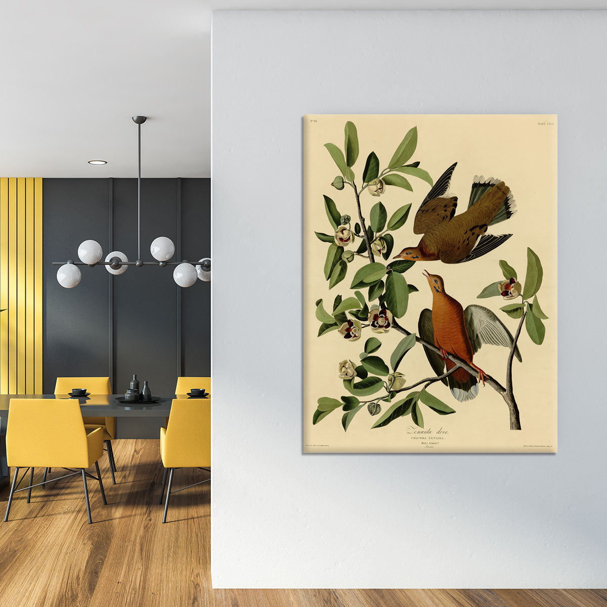 Zenaida Doves by Audubon Canvas Print or Poster - Canvas Art Rocks - 4