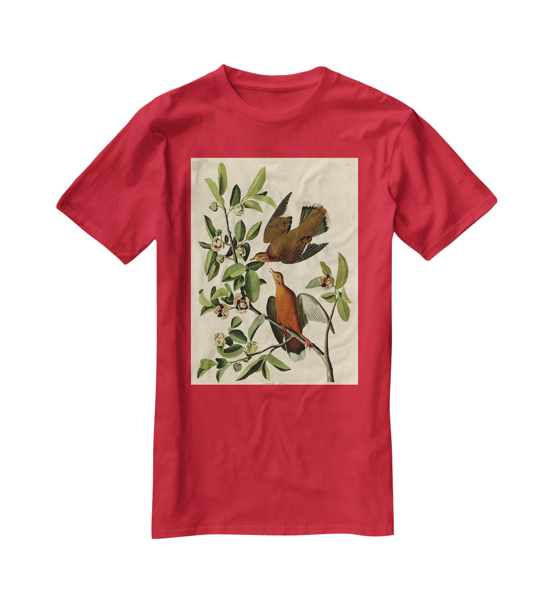 Zenaida Doves by Audubon T-Shirt - Canvas Art Rocks - 4