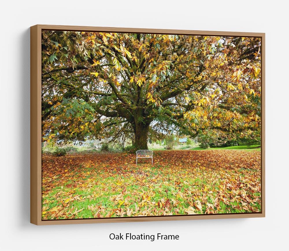 Autumn Leaves Floating Frame Canvas