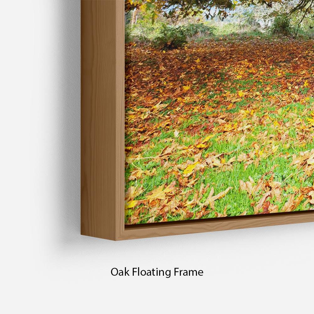 Autumn Leaves Floating Frame Canvas