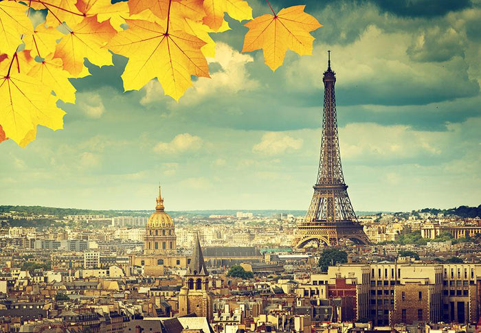 autumn leaves in Paris and Eiffel tower Wall Mural Wallpaper