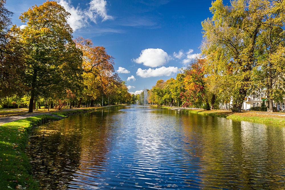 autumn park on the river Wall Mural Wallpaper - Canvas Art Rocks - 1