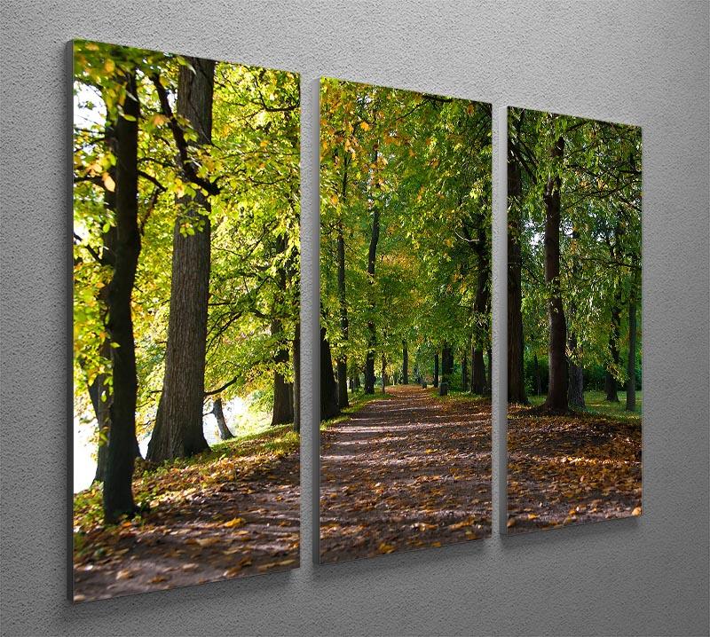 autumn road with leaves in park 3 Split Panel Canvas Print - Canvas Art Rocks - 2