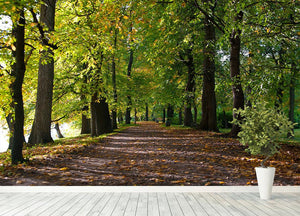 autumn road with leaves in park Wall Mural Wallpaper - Canvas Art Rocks - 4