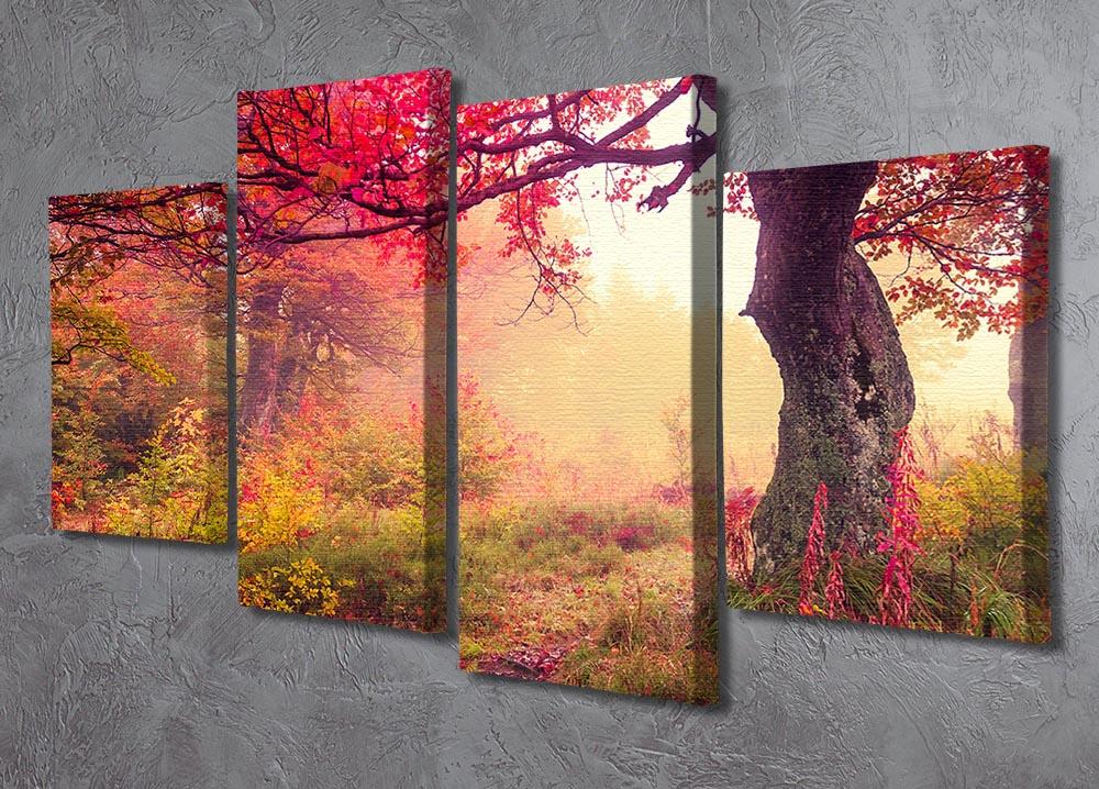 autumn trees in forest 4 Split Panel Canvas  - Canvas Art Rocks - 2