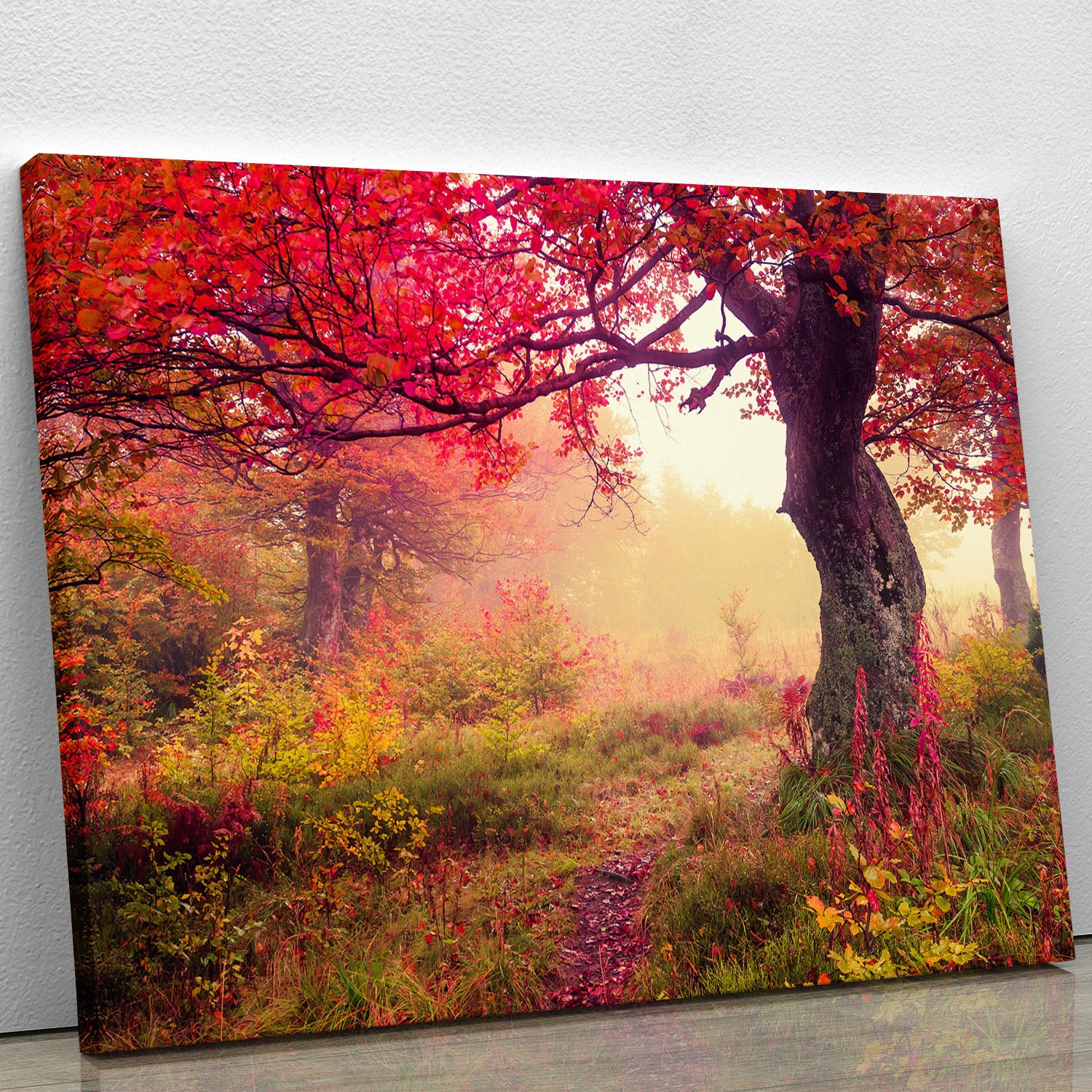 autumn trees in forest Canvas Print or Poster - Canvas Art Rocks - 1