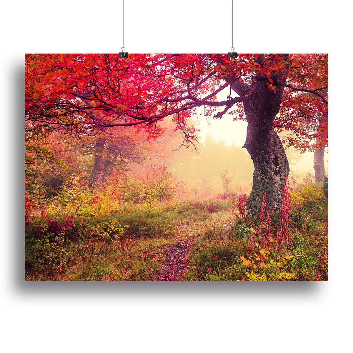 autumn trees in forest Canvas Print or Poster - Canvas Art Rocks - 2
