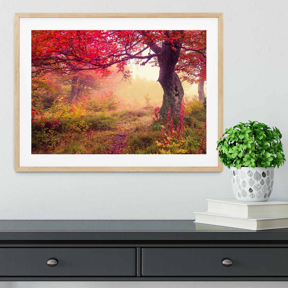 autumn trees in forest Framed Print - Canvas Art Rocks - 3