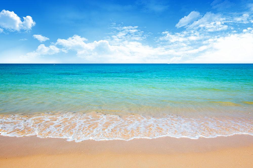 beach and tropical sea Wall Mural Wallpaper - Canvas Art Rocks - 1