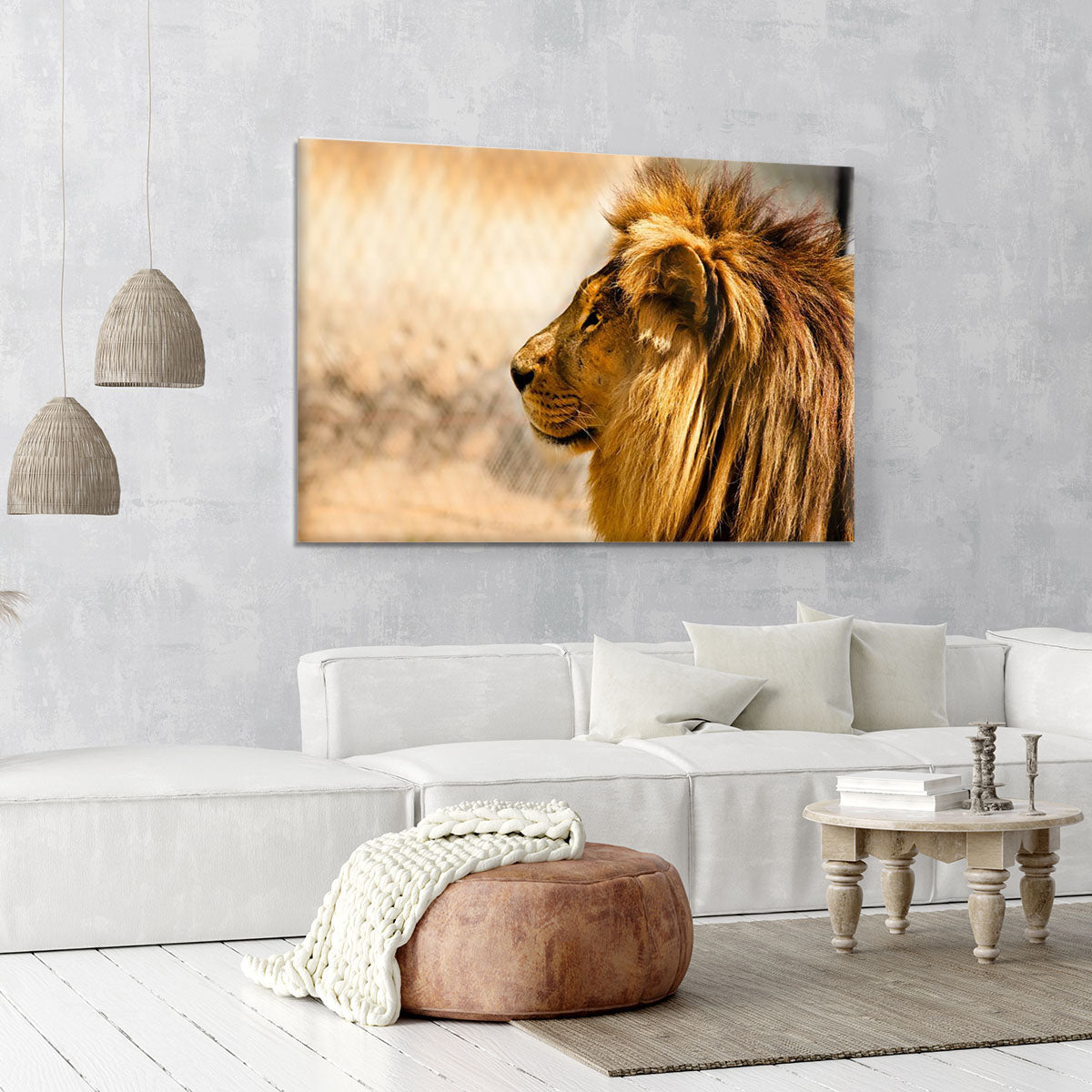 beautiful African lion relaxing on the sun Canvas Print or Poster - Canvas Art Rocks - 6