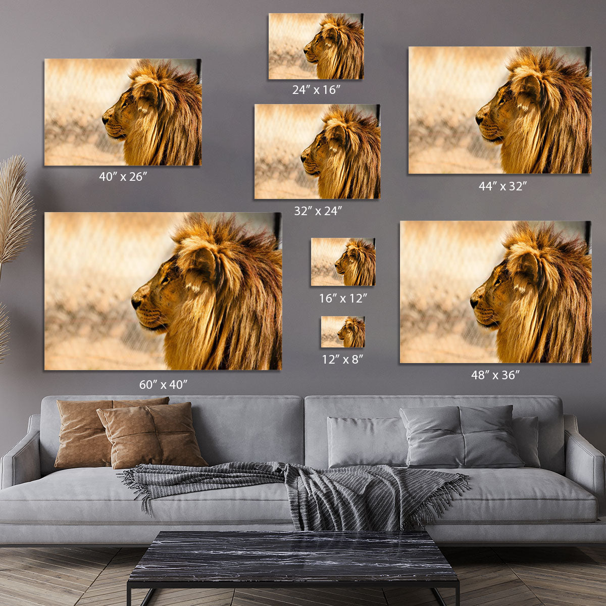 beautiful African lion relaxing on the sun Canvas Print or Poster - Canvas Art Rocks - 7