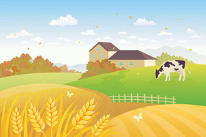 beautiful fall countryside scene with a grazing cow Wall Mural Wallpaper - Canvas Art Rocks - 1