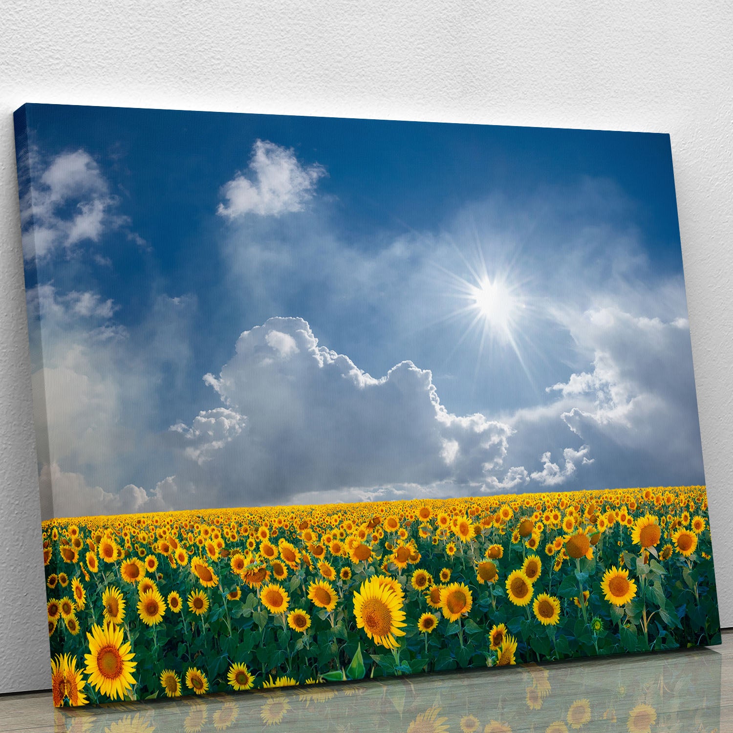 big sunflowers field and blue sky Canvas Print or Poster - Canvas Art Rocks - 1