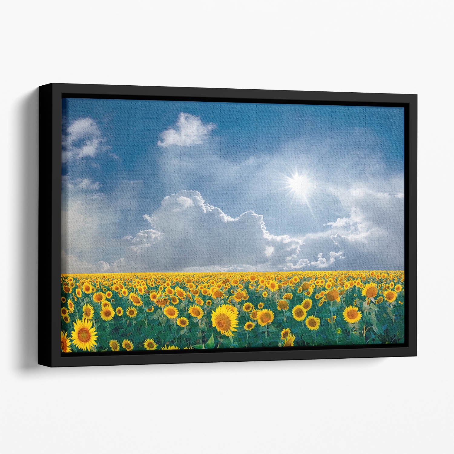 big sunflowers field and blue sky Floating Framed Canvas