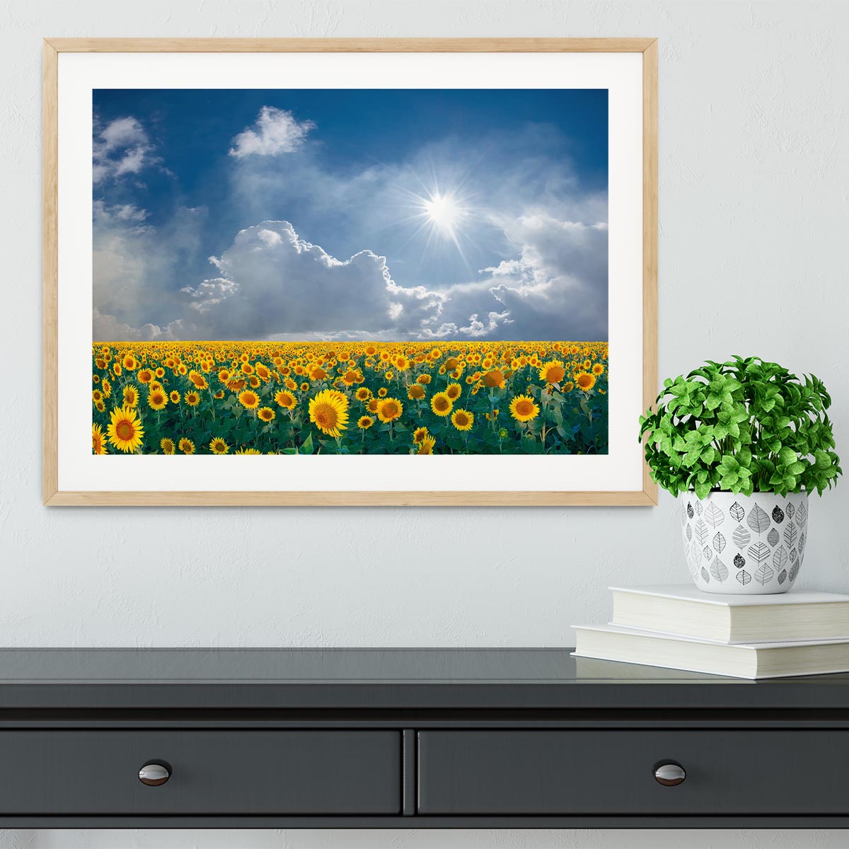 big sunflowers field and blue sky Framed Print - Canvas Art Rocks - 3