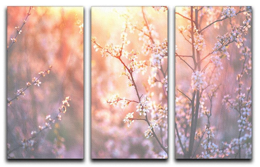 blooming tree and sun flare 3 Split Panel Canvas Print - Canvas Art Rocks - 1