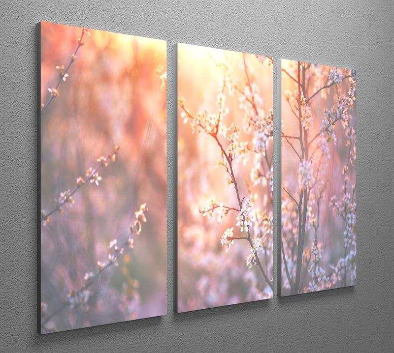 blooming tree and sun flare 3 Split Panel Canvas Print - Canvas Art Rocks - 2