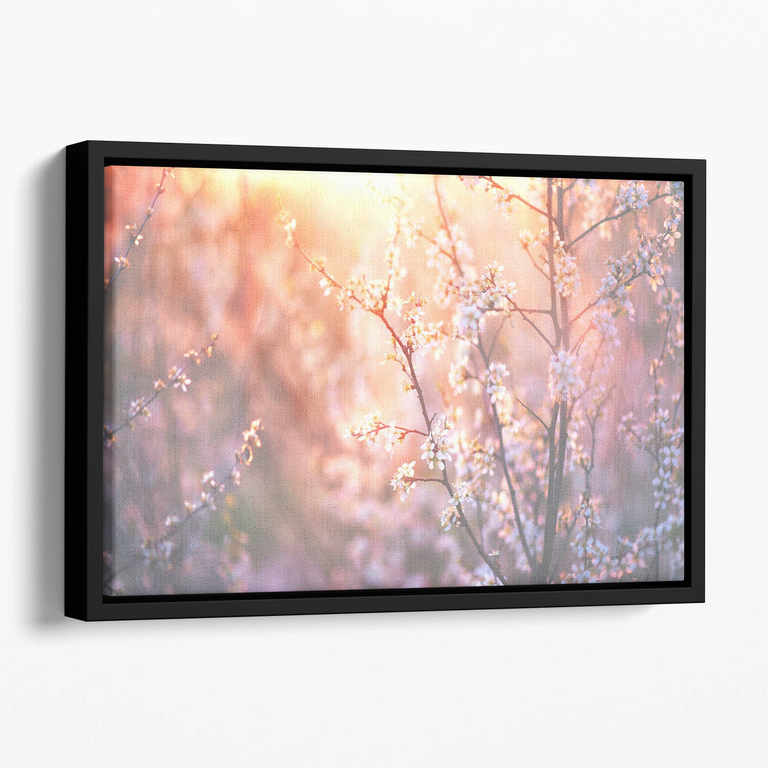 blooming tree and sun flare Floating Framed Canvas