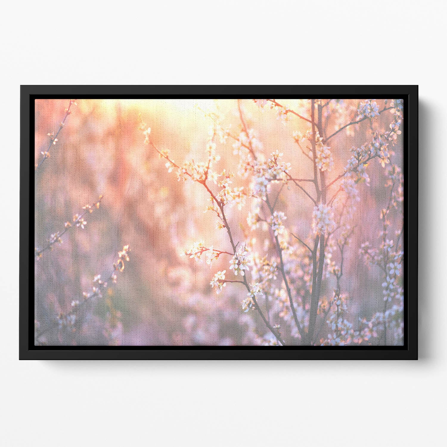 blooming tree and sun flare Floating Framed Canvas