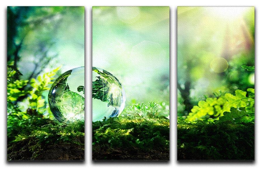 crystal globe on moss in a forest 3 Split Panel Canvas Print - Canvas Art Rocks - 1