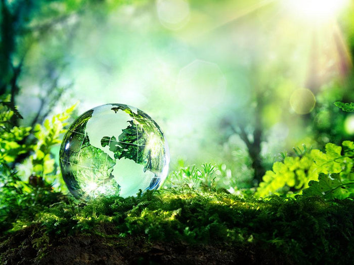 crystal globe on moss in a forest Wall Mural Wallpaper