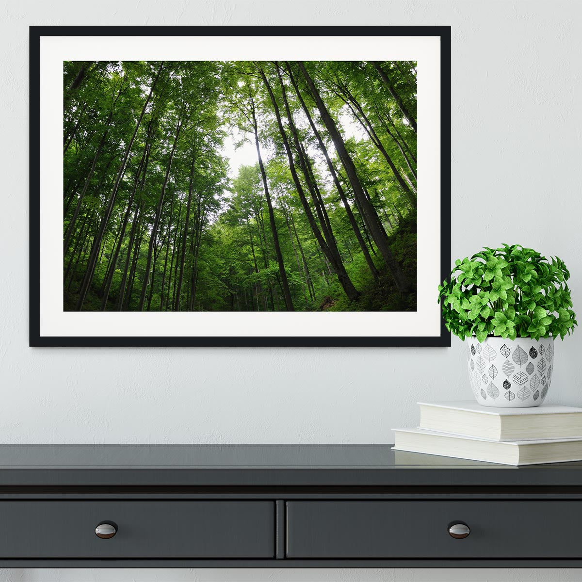 deciduous forest Framed Print - Canvas Art Rocks - 1