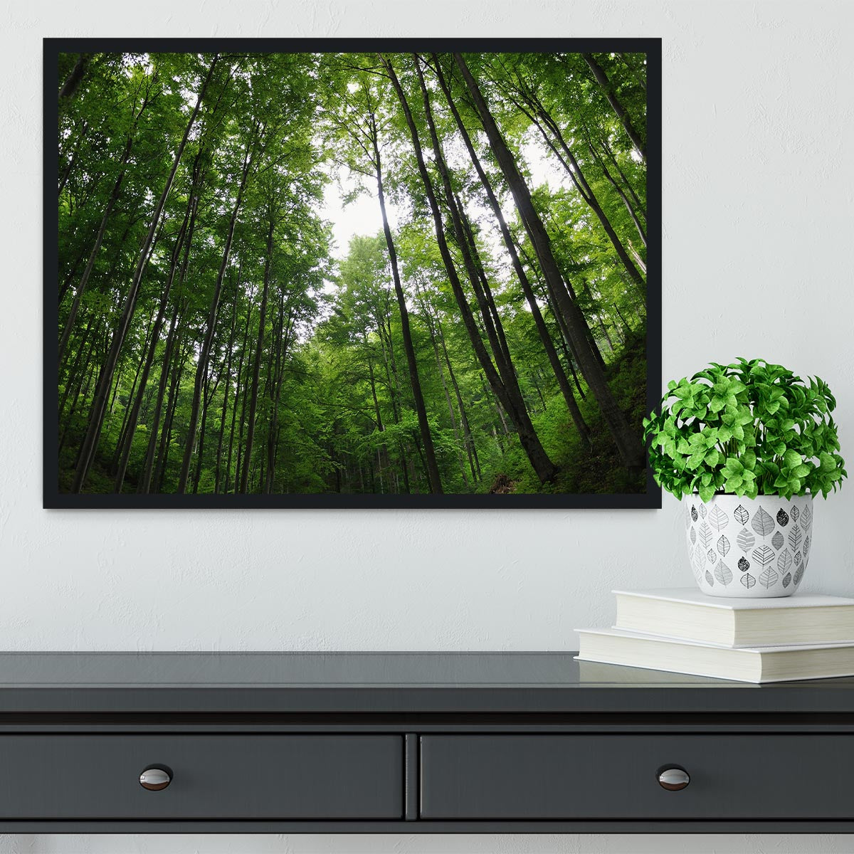 deciduous forest Framed Print - Canvas Art Rocks - 2