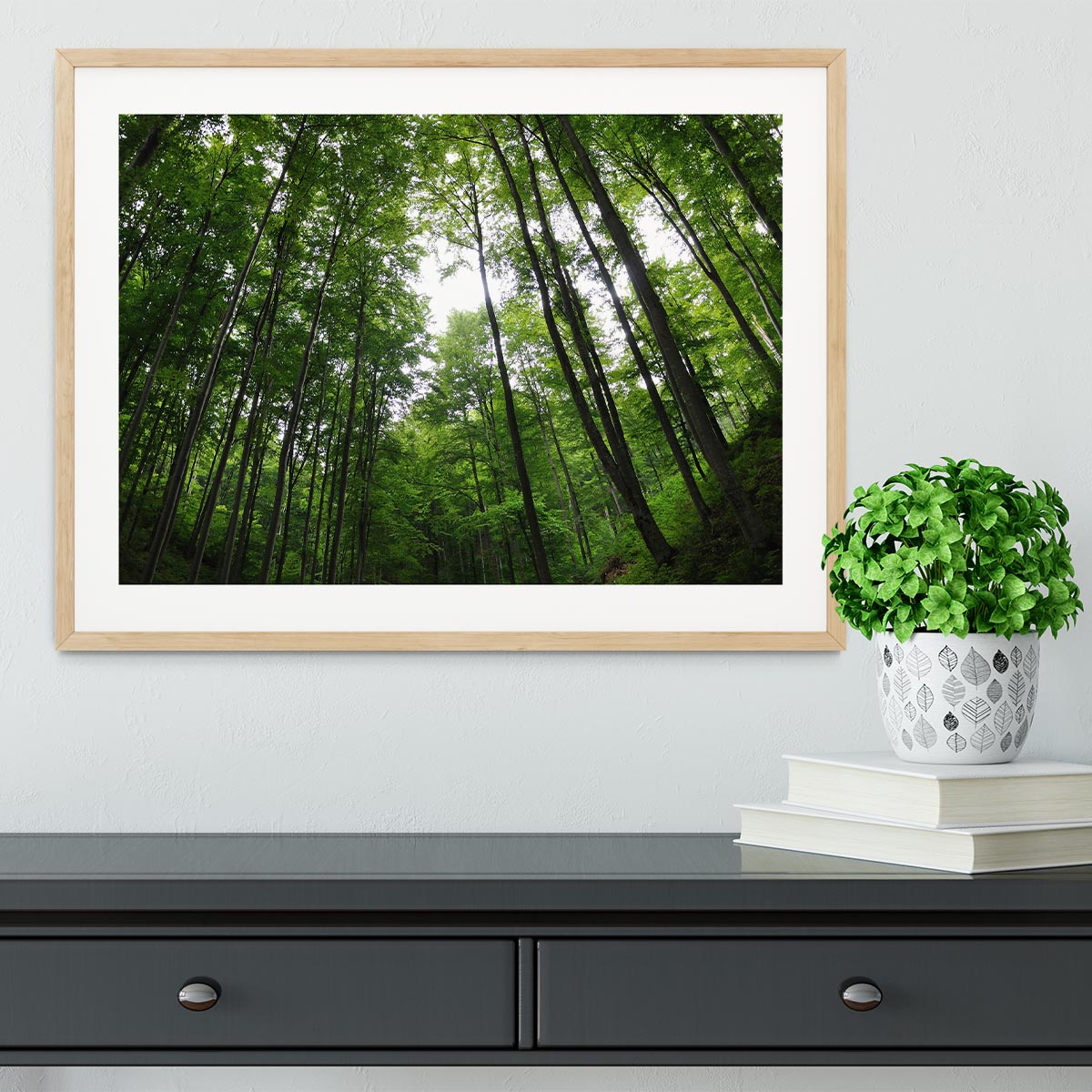 deciduous forest Framed Print - Canvas Art Rocks - 3