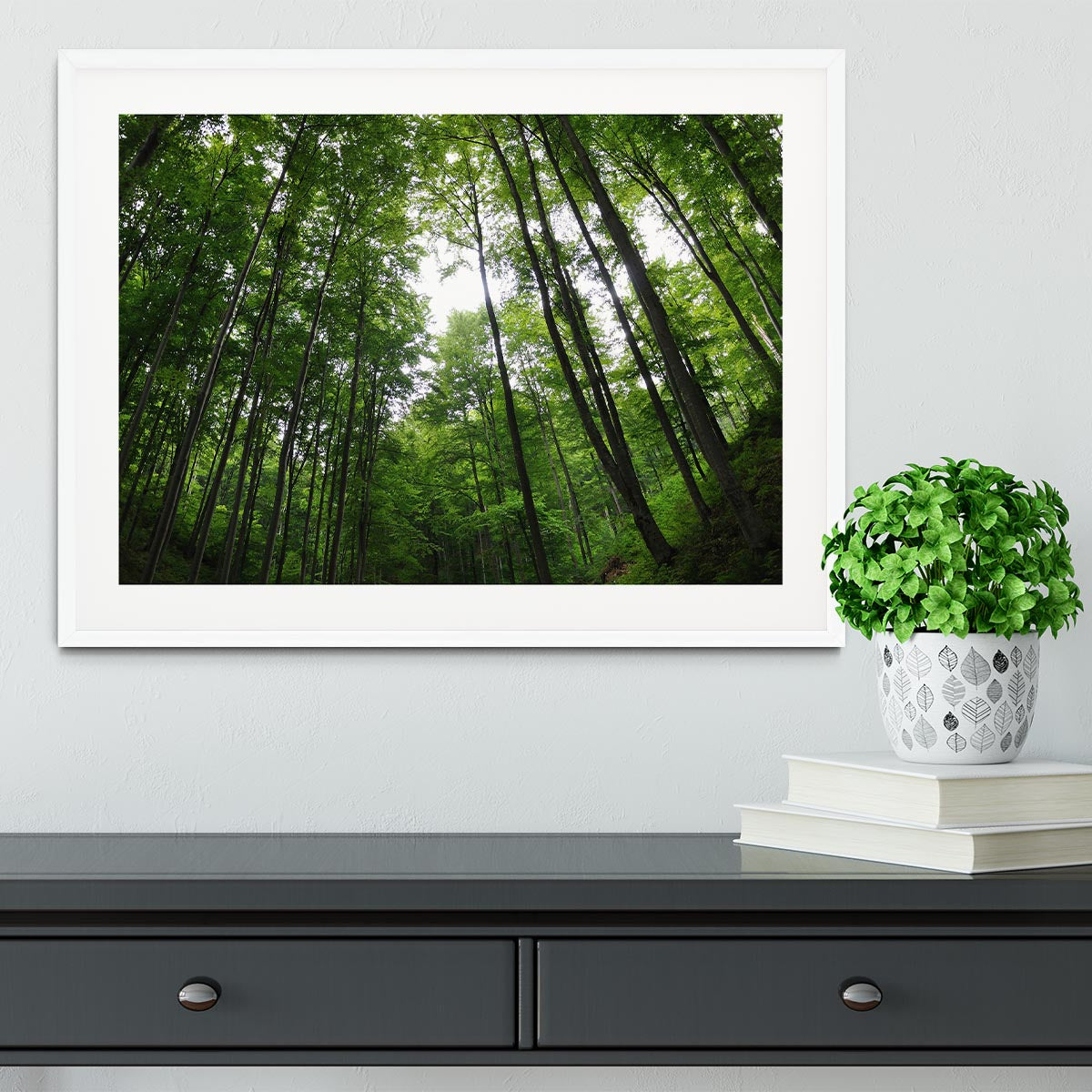 deciduous forest Framed Print - Canvas Art Rocks - 5